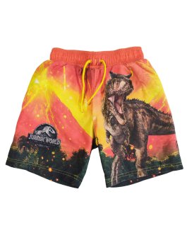 Barevné kraťasy s dinosaury pro kluky secondhand